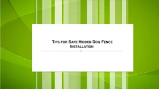 Tips for Safe Hidden Dog Fence Installation