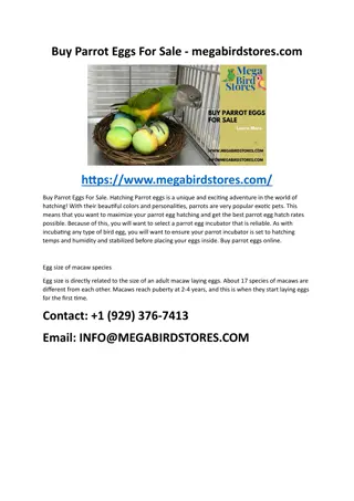 BUY PARROT EGGS FOR SALE - MEGABIRDSTORES.COM