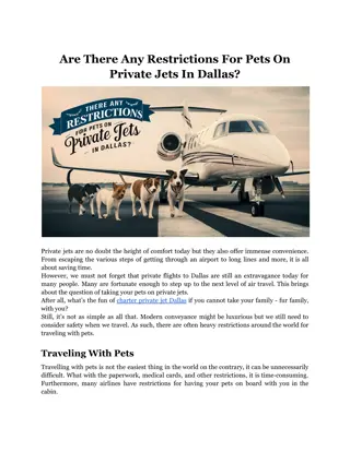 Are There Any Restrictions For Pets On Private Jets In Dallas?