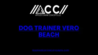 Dog Trainer Vero Beach