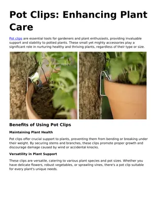 Pot Clips: Enhancing Plant Care