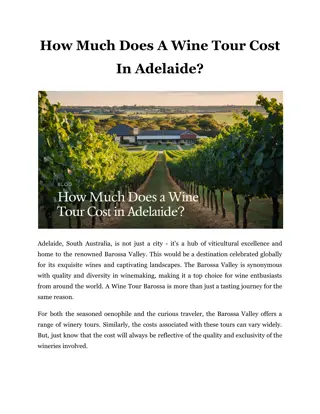 How Much Does A Wine Tour Cost In Adelaide?
