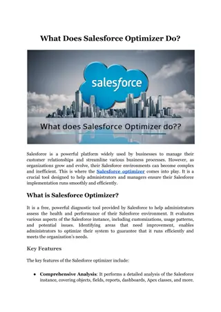 What Does Salesforce Optimizer Do?
