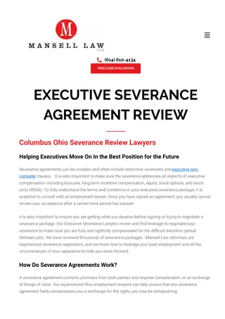 EXECUTIVE SEVERANCE AGREEMENT REVIEW