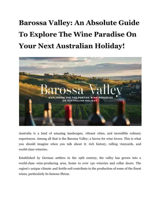 An Absolute Guide To Explore The Wine Paradise On Your Next Australian Holiday